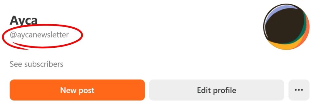 Substack_Handle_Name