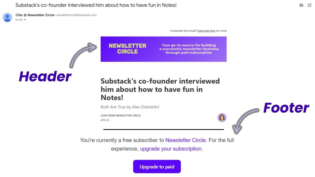 Substack_Header_Footer_Example