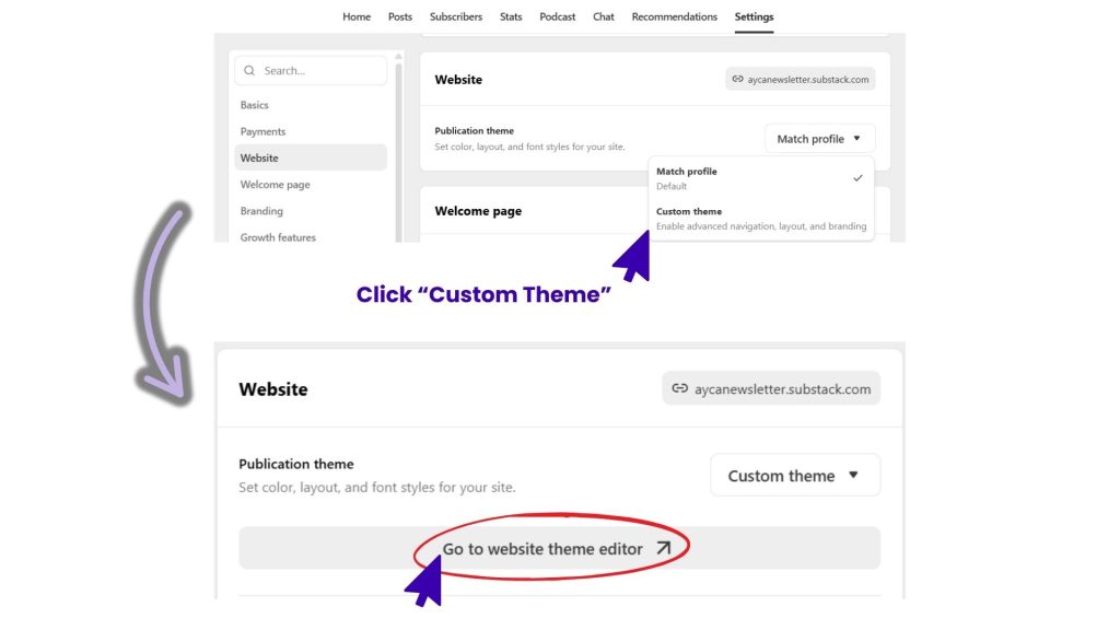 Substack_Settings_Website_Theme_Editor